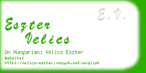 eszter velics business card